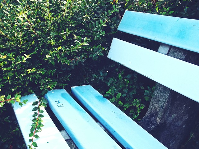 手如林的球 手如林的球