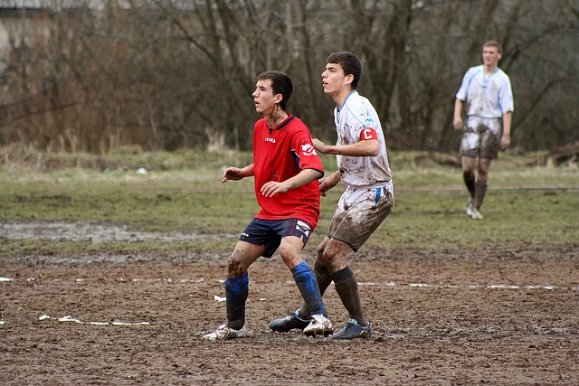 球迷对快船 球迷对快船