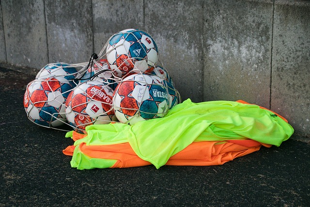 球的魅力 球的魅力