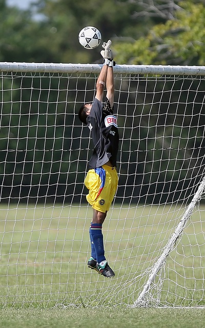 因为足球的 因为足球的