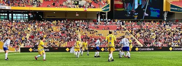 巩固阵容的 巩固阵容的