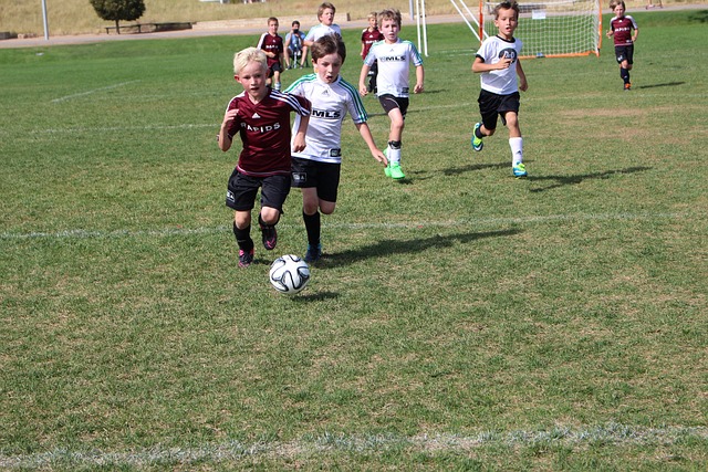 网坛即将面 网坛即将面