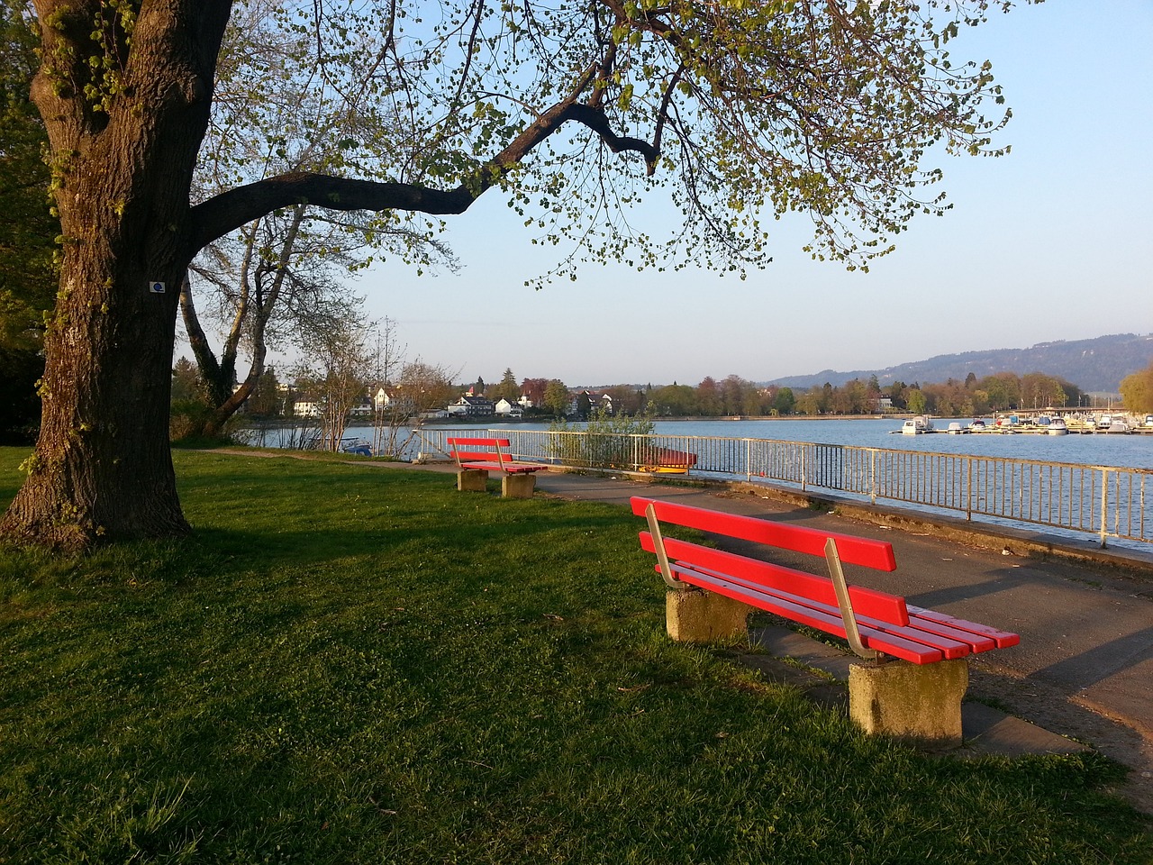 米在强强对 米在强强对